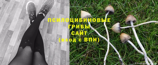 гидропоника Балахна