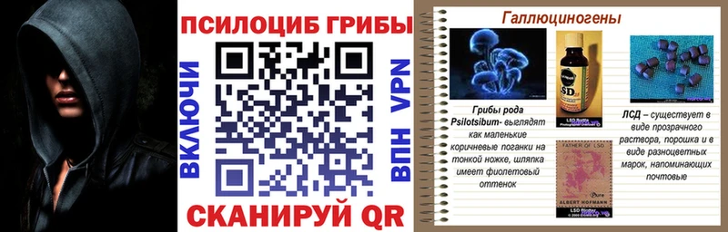 Псилоцибиновые грибы Psilocybine cubensis  купить наркотики цена  Новотроицк 